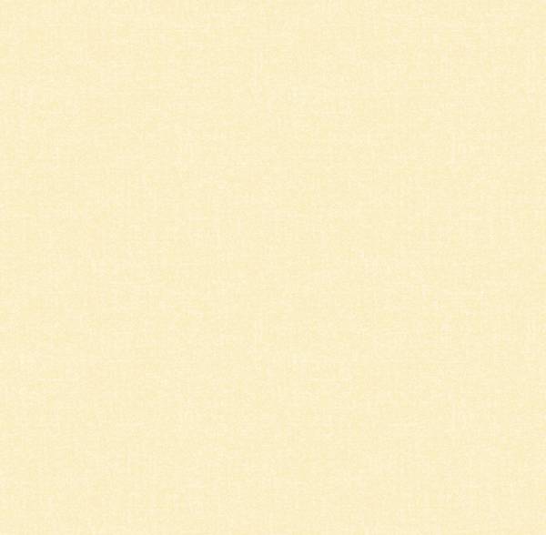 8429596058950-0